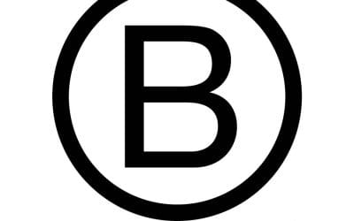 B Corp Impact Report
